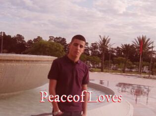 PeaceofLoves