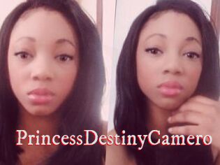 PrincessDestinyCamero