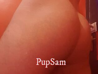 PupSam