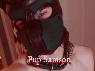 Pup_Samson