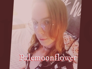 Palemoonflower
