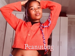 Peanutbug