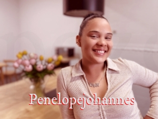 Penelopejohannes