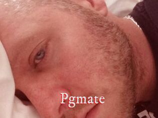 Pgmate