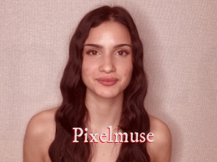 Pixelmuse