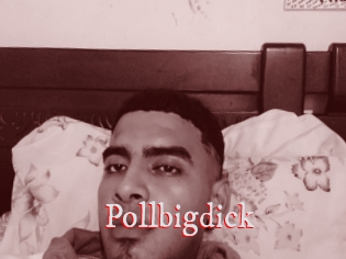 Pollbigdick