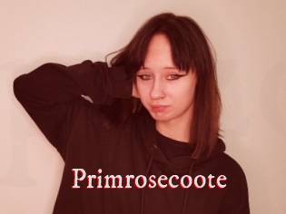 Primrosecoote