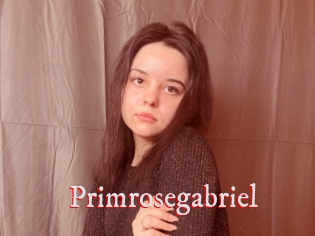 Primrosegabriel