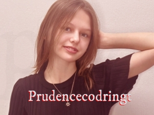 Prudencecodringt