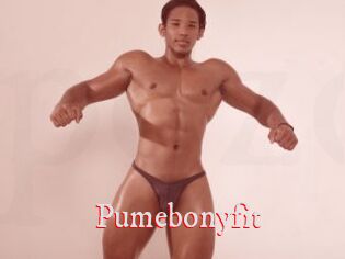 Pumebonyfit