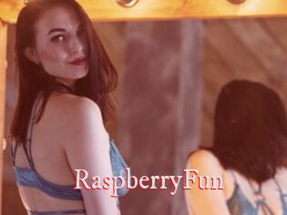 RaspberryFun