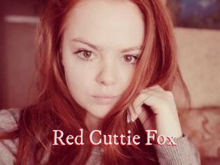 Red_Cuttie_Fox