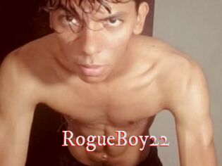 RogueBoy22