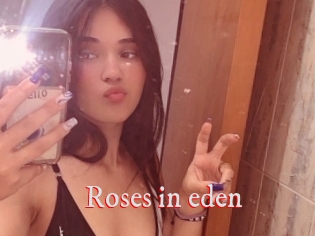 Roses_in_eden