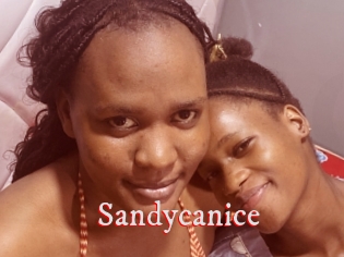 Sandycanice