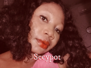 Secypot