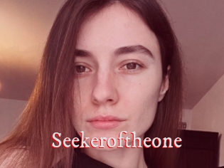 Seekeroftheone