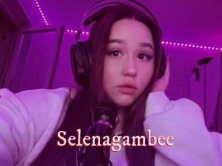Selenagambee