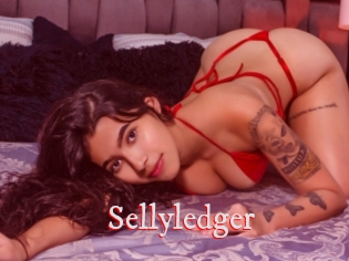 Sellyledger