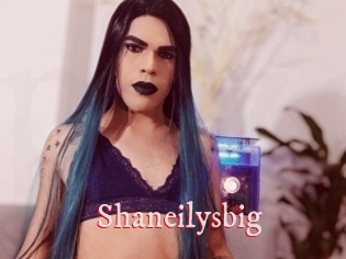 Shaneilysbig