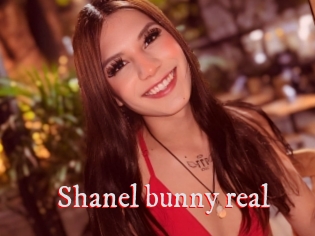 Shanel_bunny_real