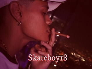 Skateboy18