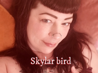 Skylar_bird