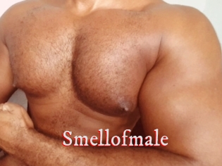 Smellofmale