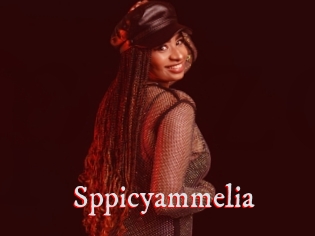 Sppicyammelia