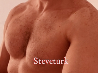 Steveturk