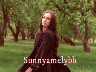 Sunnyamelybb