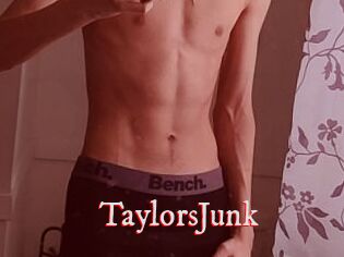 TaylorsJunk