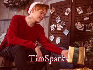 TimSparks