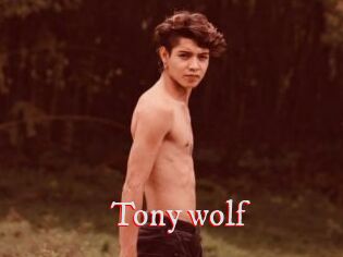 Tony_wolf