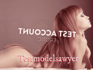 Testmodelsawyer