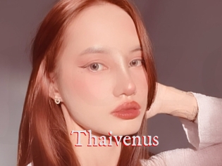 Thaivenus