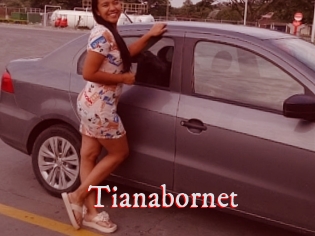 Tianabornet