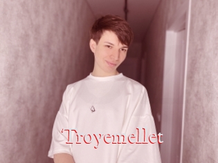 Troyemellet