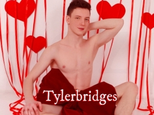 Tylerbridges