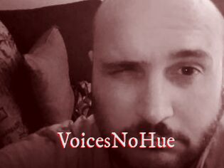 VoicesNoHue