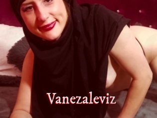 Vanezaleviz