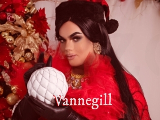 Vannegill