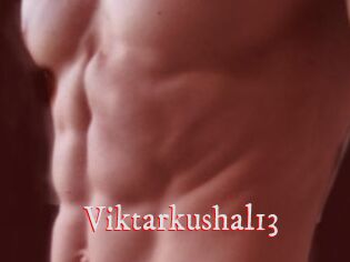 Viktarkushal13