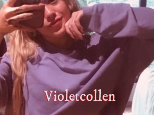 Violetcollen