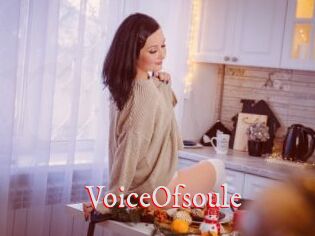 VoiceOfsoule