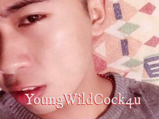 YoungWildCock4u