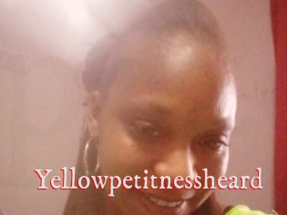 Yellowpetitnessheard