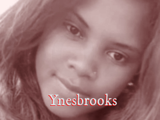 Ynesbrooks