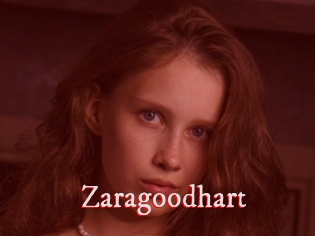 Zaragoodhart